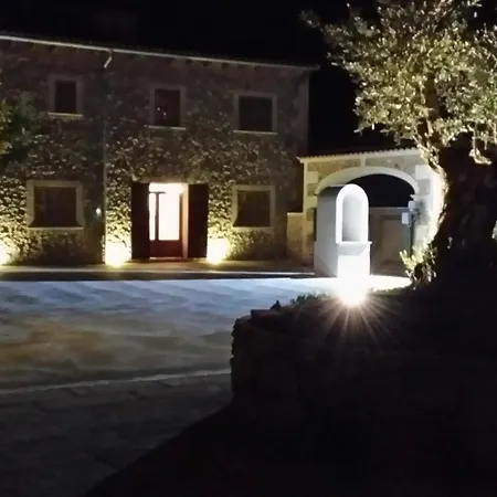 S'hort Capità Ariany